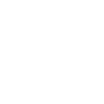 Professional home improvement service consultation